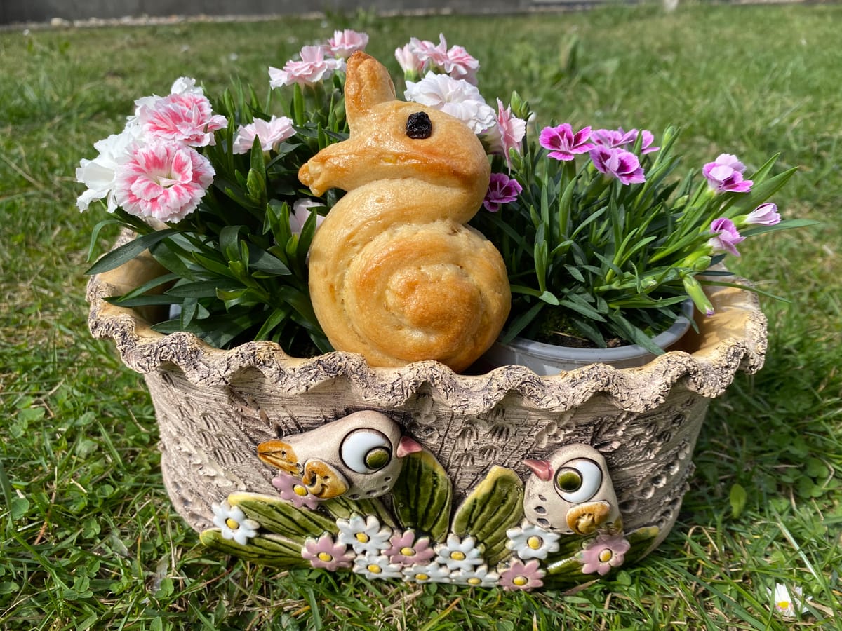 Kynutí velikonoční zajíčci s kandovanou kůrou