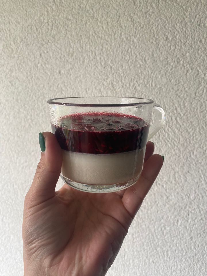 Kokosová vegan Panna Cotta